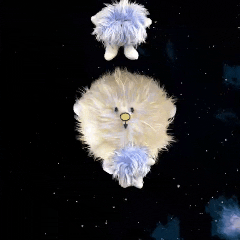 dominicderond giphyupload GIF