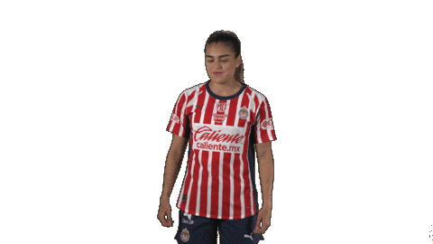 Liga Mx Futbol Sticker by Chivas Oficial