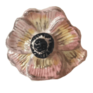 Liacb giphyupload flower anemone interiors anemone flower Sticker