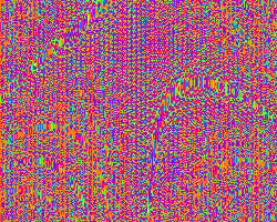 loop 12 colors GIF by Kim Asendorf