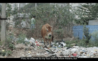 GIF by Arun Considers