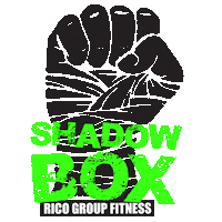 Shadowbox Sticker by RICOgroupfitness