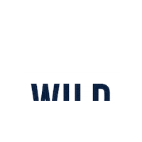 Lifestyle Staywild Sticker by theriverwildteam