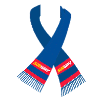 football soccer Sticker by Subway Colombia