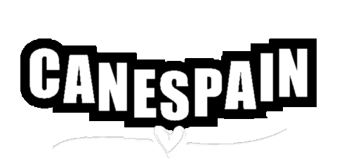Heart Love Sticker by canespain