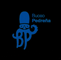 Buceopedrena buceo buceopedreña GIF