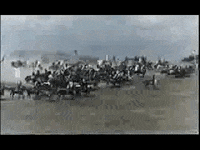 GIF by TVP.PL