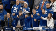 National Football League GIF by NFL
