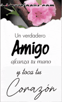 Rosa Amigas GIF by Murcianys LLC