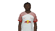 Rb Leipzig Arms Sticker by Bundesliga