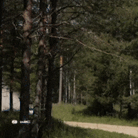 Drifting GIF by FIA World Rally Championship