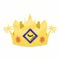 Ociosos camba carnaval bolivia ociosos carnaval santa cruz GIF