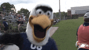 Soccer Eagles GIF by Georgia Southern Athletics