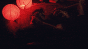 the other GIF by Lauv