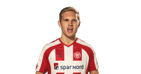 Aalborg Sticker by esuperliga