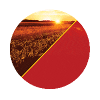 Sementes Sticker by Agro Bayer