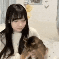 Girl Group Cat GIF
