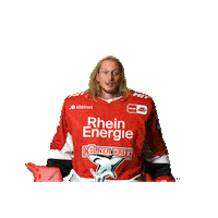 Goal Celebrate Sticker by Koelner Haie