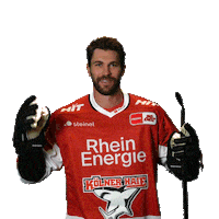 Goal Celebrate Sticker by Koelner Haie