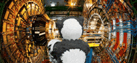Panda Machine GIF by Endangered Labs