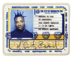 Shimmy Shimmy Ya Wu Tang GIF by Rhino Records