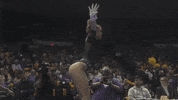 Happy Celebration GIF by LSU Tigers