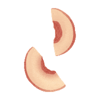 Fresh Fruit Food Sticker by molehill