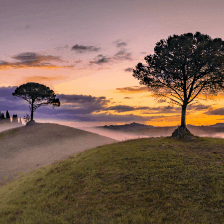 maryhuntly giphygifmaker giphyattribution GIF