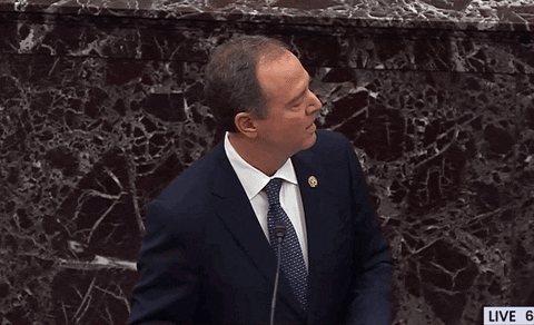 Adam Schiff GIF by GIPHY News