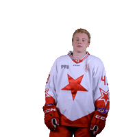 Hcslavia Sticker by HC SLAVIA PRAHA
