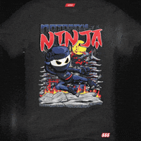 Ninja T GIF by VeeFriends