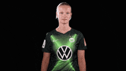 vflwolfsburg sports sport soccer gif GIF