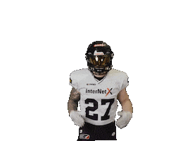 American Football Sticker by Frankfurt Galaxy