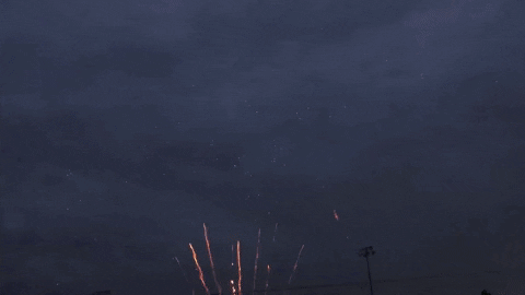 MadisonMallards giphyupload GIF