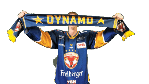 Fanshop Celbrate Sticker by Lausitzer Füchse