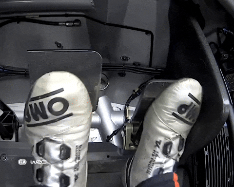 Fun Driving GIF by FIA World Rally Championship