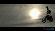 GIF by Okkult Motion Pictures