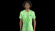 Fail France GIF by VfL Wolfsburg