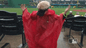fan pirates GIF by MLB