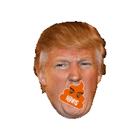 shedgame trump usa america shit Sticker