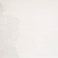 Jaylon Hutchings GIF by Texas Tech Football