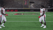 Red Raiders GIF by Texas Tech Football