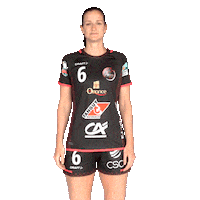 BrestBretagneHandball fun hand handball france Sticker