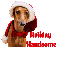 Santa Hat Christmas Sticker