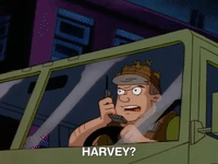 hey arnold nicksplat GIF