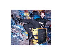 bud budweiser Sticker