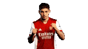 Celebrate Premier League Sticker by Arsenal