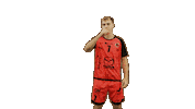 Handball Dragon Sticker by HCCA