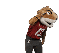 Washington State Mascot Sticker by WSU Pullman