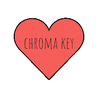 Chroma Key Camera Sticker by Paula Otti photography